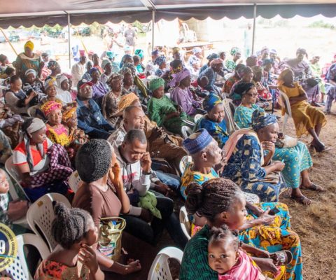 33c8f629-1ead-48bb-9da4-e3d1b11179a0-480x400